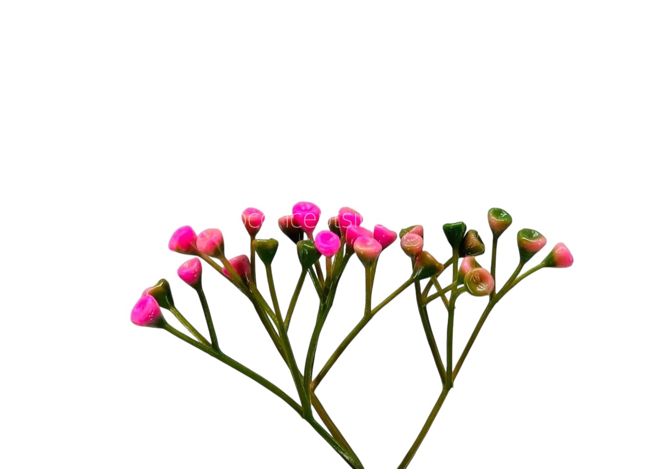 Pink Small Trio Fern Leaves