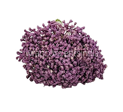 Baby Breath's Bunch
