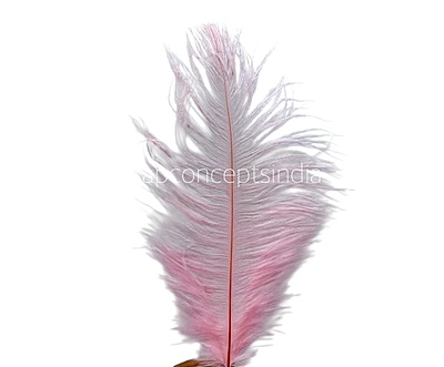 Faux Feather Rounded Edges Faux Feather Rounded Edges