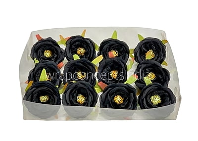 Black Camellia Flower Black Camellia Flower
