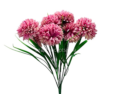 Carnation Bunch - Mullticolour Carnation Bunch - Mullticolour