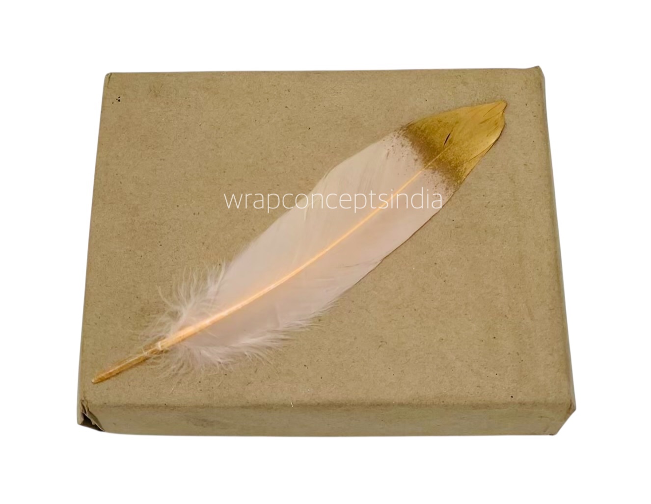 Faux Feather with Gold Edges Faux Feather with Gold Edges