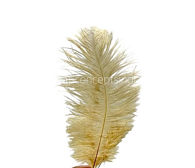 Faux Feather Rounded Edges Faux Feather Rounded Edges