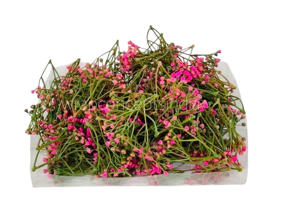 Pink Small Trio Fern Leaves