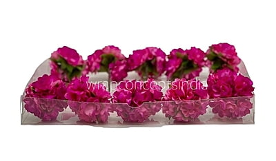 Hot Pink Aubrieta Flower