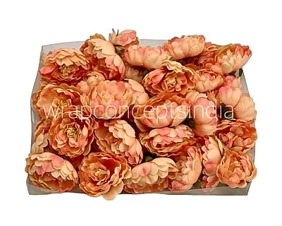 Peach Peonies Peach Peonies