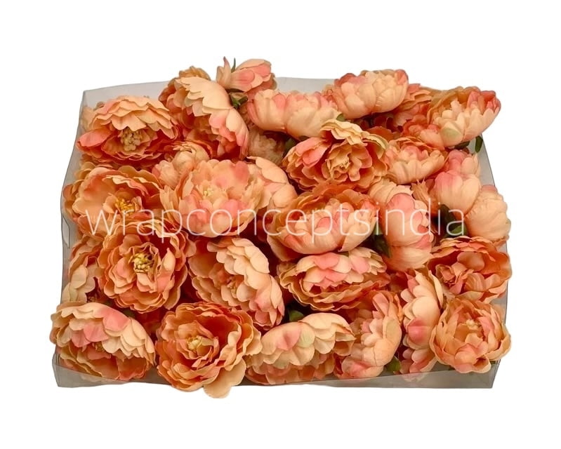 Peach Peonies Peach Peonies