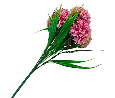 Carnation Bunch - Mullticolour Carnation Bunch - Mullticolour