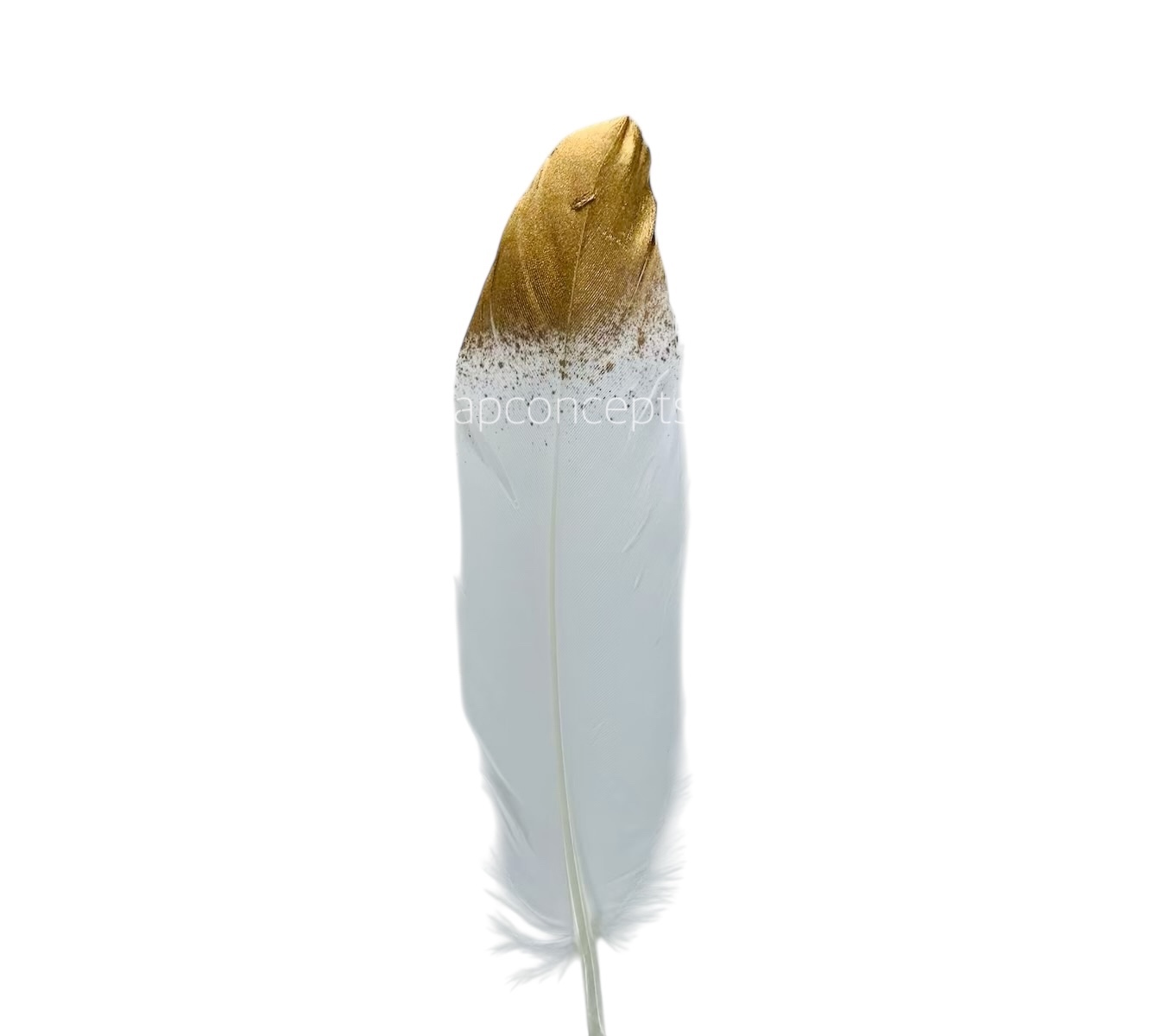 Faux Feather with Gold Edges Faux Feather with Gold Edges