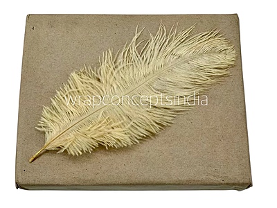 Faux Feather Rounded Edges Faux Feather Rounded Edges