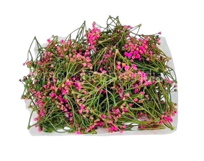 Pink Small Trio Fern Leaves