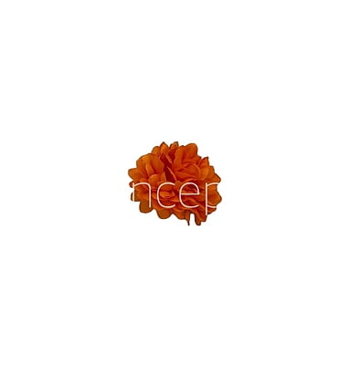 Small Carnation -Orange Small Carnation -Orange