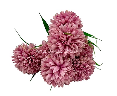 Carnation Bunch - Mullticolour Carnation Bunch - Mullticolour