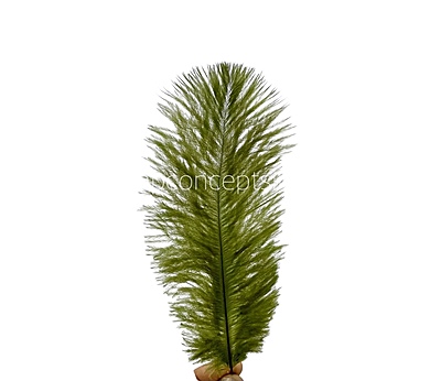 Faux Feather Rounded Edges Faux Feather Rounded Edges