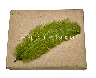 Faux Feather Rounded Edges Faux Feather Rounded Edges