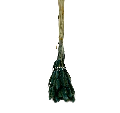 Preserved Bunny Tails