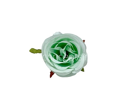 Mint Green Roses