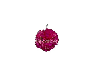 Hot Pink Aubrieta Flower
