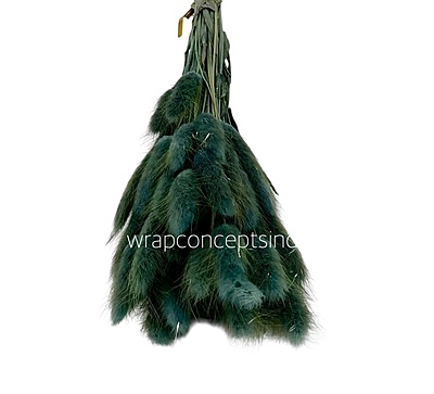 Preserved Bunny Tails