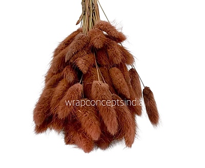 Preserved Bunny Tails