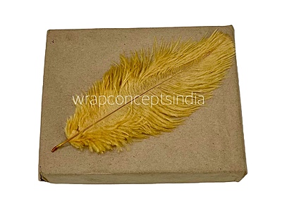 Faux Feather Rounded Edges Faux Feather Rounded Edges
