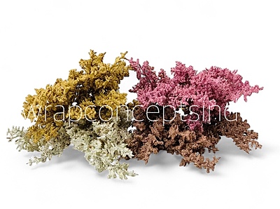 Frosted Plum Blossom Spray