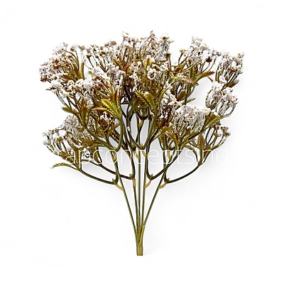 Frosted Heather Bush