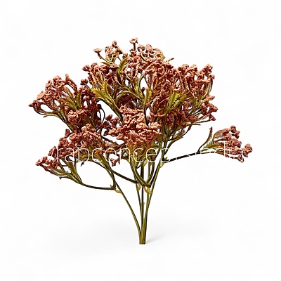 Frosted Heather Bush