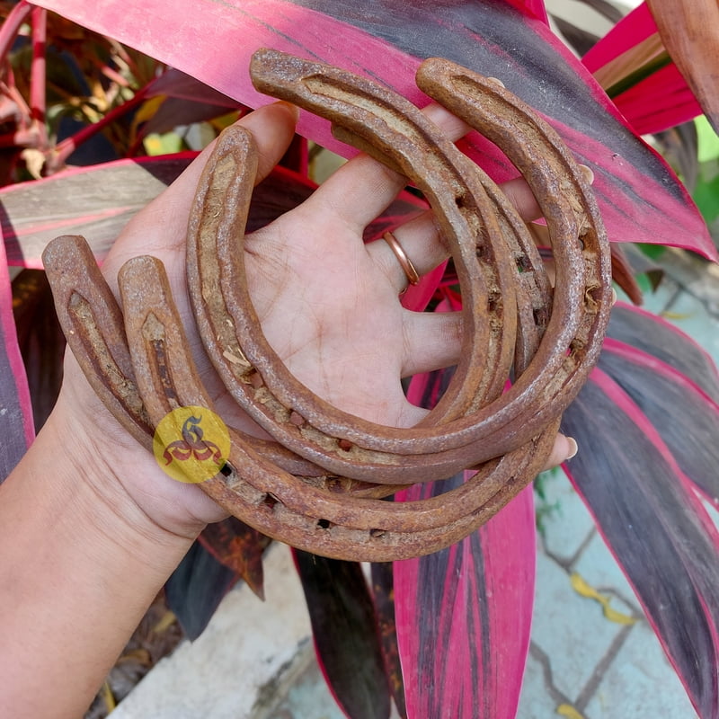 Horse shoe Magnet - Kuthirai laadam Horse shoe Magnet - Kuthirai laadam