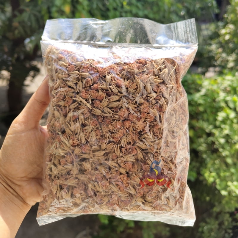 Magizham poo / magudam poo 100g Magizham poo / magudam poo 100g