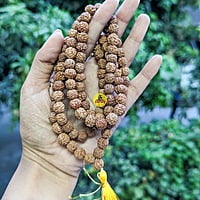 Rudraksha maalai 5 face