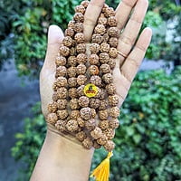 Rudraksha maalai 5 face