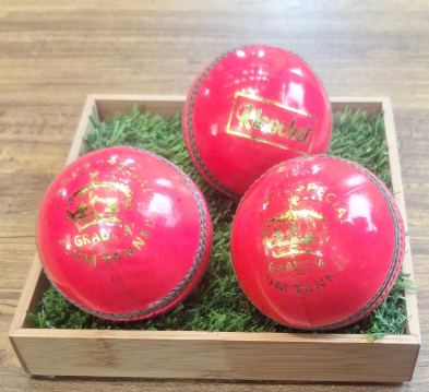 CRICKET BALL RICOCHET CRICKET BALL RICOCHET