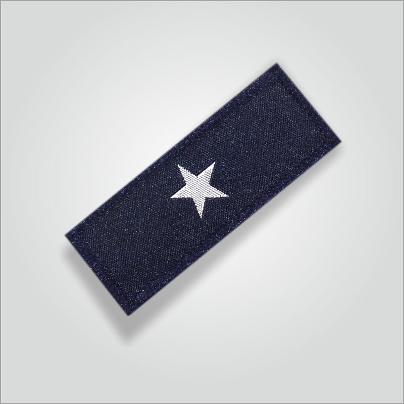 Charan Badges Pratham