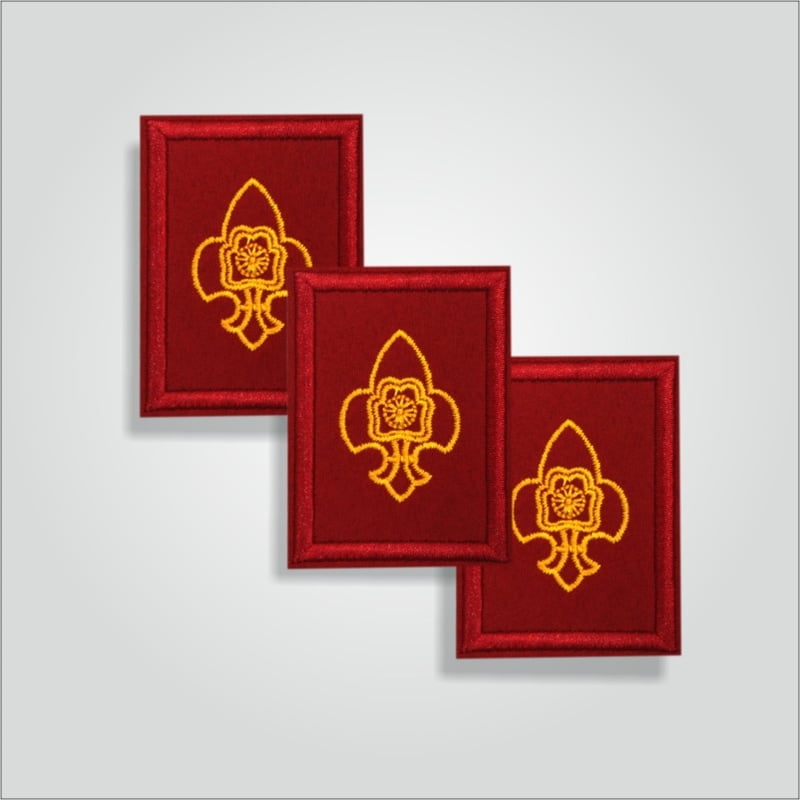 Pravesh Badge Rover/Ranger Pravesh Badge Rover/Ranger