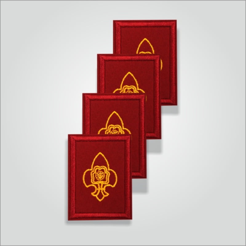 Pravesh Badge Rover/Ranger Pravesh Badge Rover/Ranger