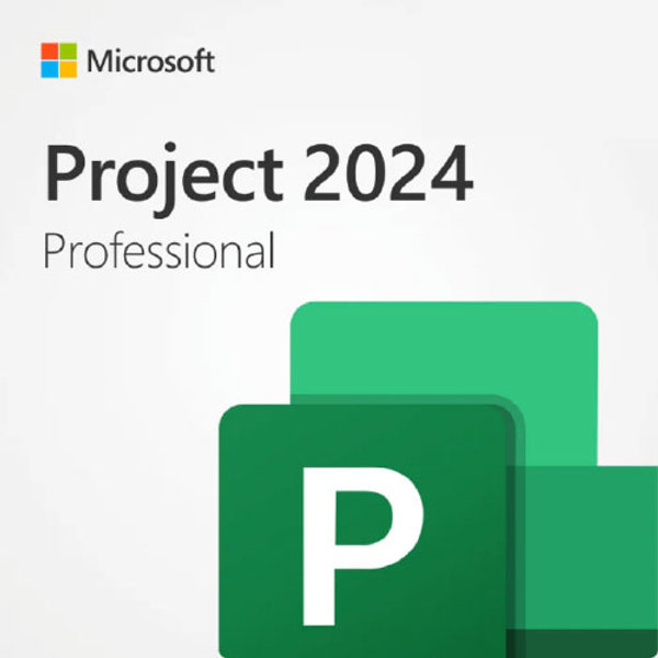 Project Professional 2024 Project Professional 2024
