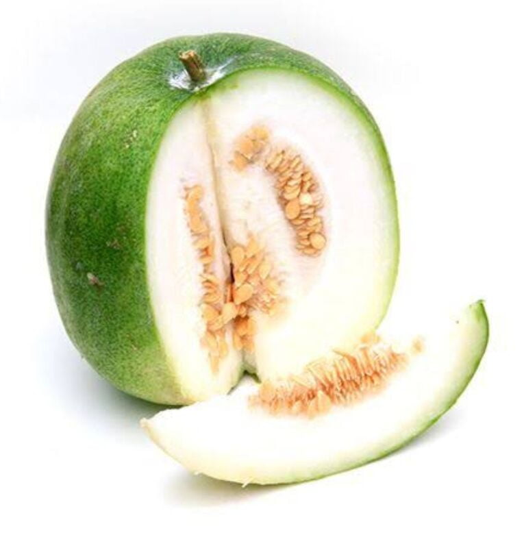 Ash Gourd Ash Gourd