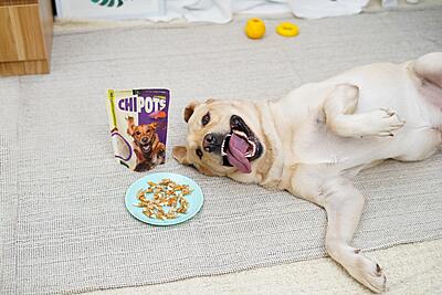 Chipots 100g Chipots 100g