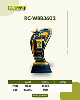 RC-WBB3602A 29.5CM