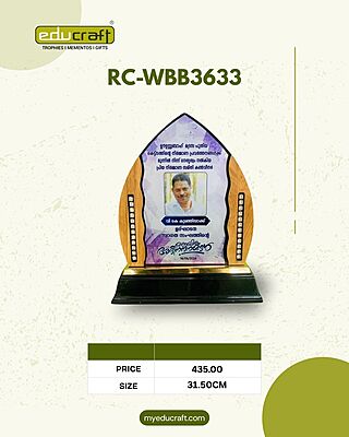RC-WBB3633A 31.5CM