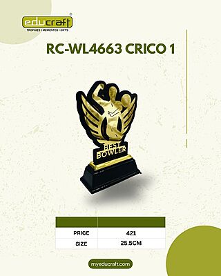 RC-WL4663 CRICO 1 25.50CM (8MM)