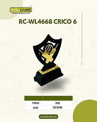 RC-WL4668 CRICO 6 22CM (8MM)