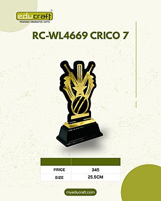 RC-WL4669 CRICO 7 24CM (8MM)