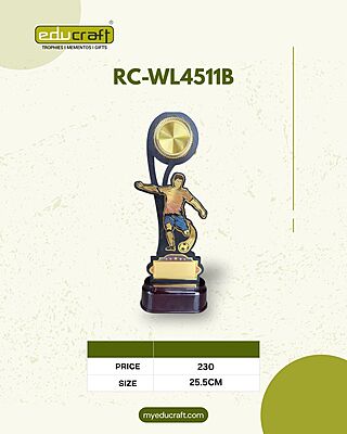 RC-WL4511B 34CM