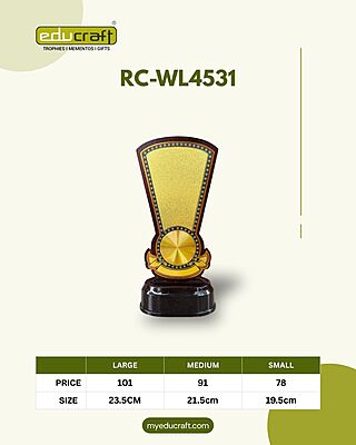 RC-WL4531A 23.50CM