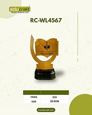 RC-WL4567 22CM (4MM)