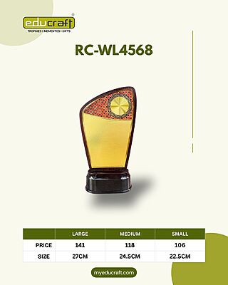 RC-WL4568B 24.50CM