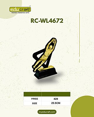 RC-WL4672 27CM