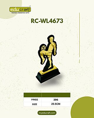 RC-WL4673 28CM